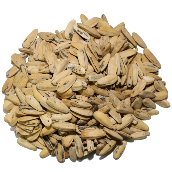 تخمه آفتابگردان سفید